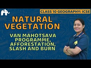Natural Vegetation Class 10 ICSE Geography | Selina Chapter 6 | Van Mahotsava , Afforestation