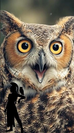 Athena & The Sacred Owl 🦉✨ | Wisdom of Ancient Greece