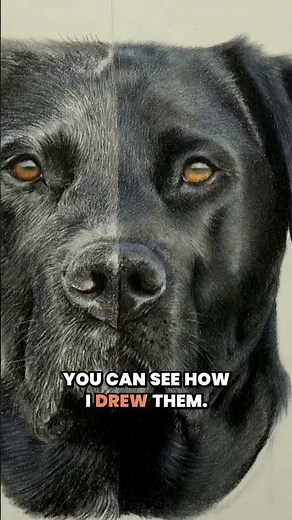 Layering and Blending with Coloured Pencils