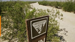 Largest solar project in U.S. approved by Trump administration amid concerns