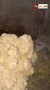 1.6M views · 5.1K reactions | नूडल्स कैसे बनाया जाता है देख लो  . . . #shorts #ytshorts #facts #knowledge #factsdaily #didyouknow #instagram #science #dailyfacts #factsoflife #factz #truth #amazingfacts #gk #interestingfacts #education #instafacts #life #sciencefacts #funfacts #instagood #truefacts #food #foodie #noodles #foodlover | The Facts Hub | Facebook