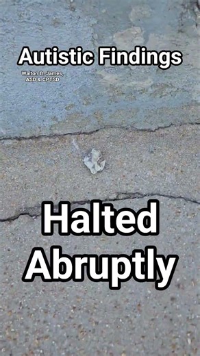 Halted Abruptly, Autistic Findings, Walton B. James, ASD & CPTSD #autism #cptsd #shorts #wtf #short