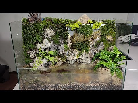 Making an paludarium with two flowing waterfalls/ Waterfall Making