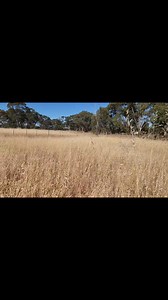 Felicity Johnson on Reels