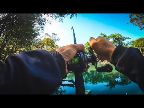 SOLO Land-based Murray Cod Fishing | 1 Meter Murray Cod EP.4