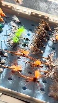 Here's the gear and flies I'm using in the Adige for dry-fishing on rising waters! 😌👆🏻