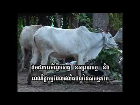 Video 02 កសិកម្មកម្ពុជា The Future of Khmer Agriculture Policy, Practice, and Possibility
