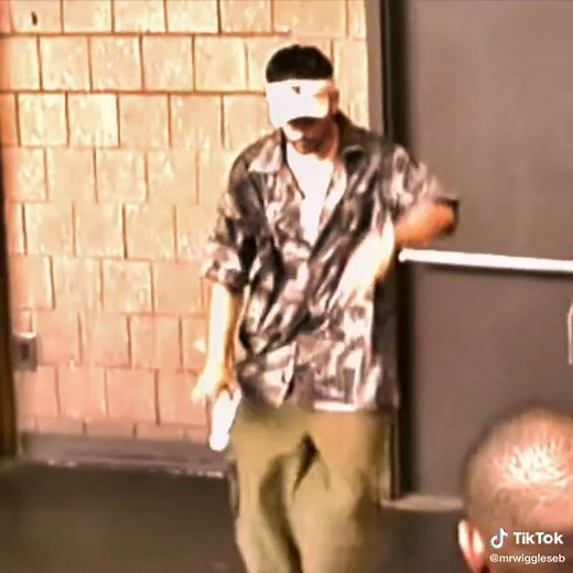 Mr Wiggles on TikTok