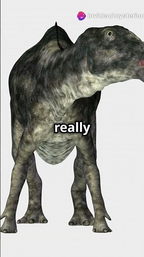 Mokele-Mbembe: The Dinosaur of the Congo!