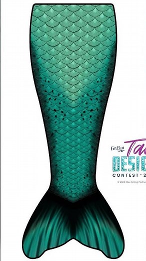 2024 Tail Design Contest Highlights #finfun #designcontest