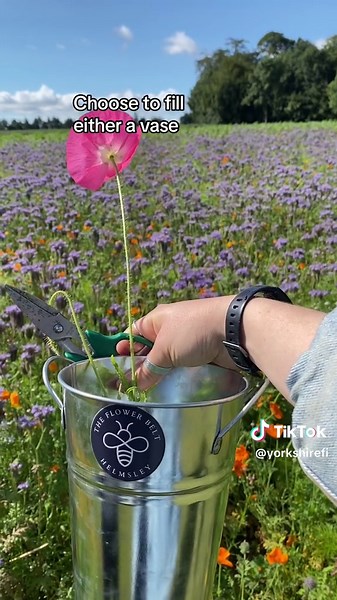 Wildflower Picking in Yorkshire: Mallard Grange Farm Experience