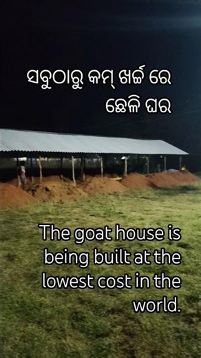 Goat House is being Built at the Lowest Cost in the World🐐🐑🏠|| #goat #gourigoatfactoryodisha #shorts