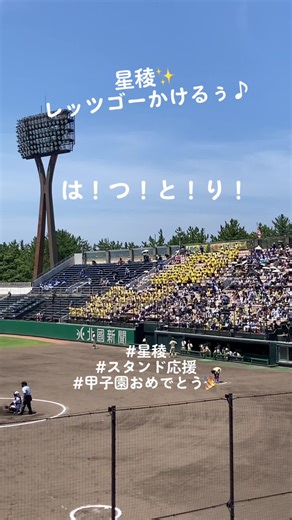 #星稜#スタンド応援 #星稜チアさん #はつとり#レッツゴーかけるぅ#服部cp#甲子園おめでとう