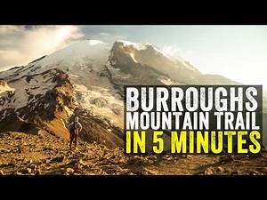 The CLOSEST HIKING TRAIL to the RAINIER PEAK. Burroughs Mountain Trail Mount Rainier National Park
