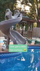 Backyard Pool Slide Fail Has Everyone Laughing!