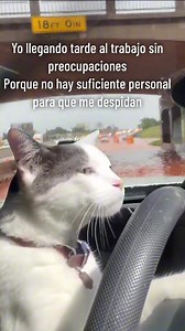 1.3K views · 42 reactions |  | Not My Problem | Facebook