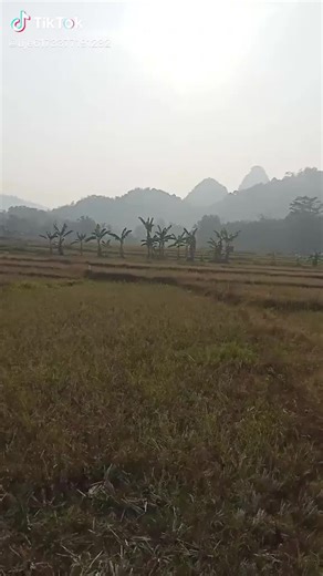 uje je je (@.uje5)’s videos with suara asli - tutorial suling sunda