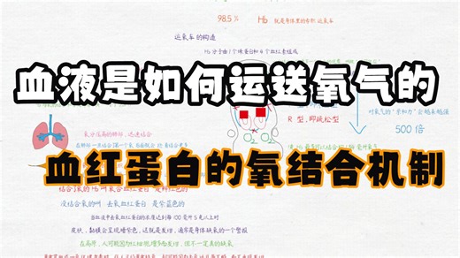 血液是如何运送氧气的，血红蛋白的氧结合机制