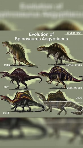 Balls, scrote even #balls #dinosaur #dinosaurfacts #spinosaurus #jurassicpark #jurassicworld #animals #theanimalman