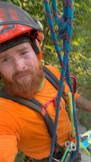 1K views · 15 reactions | Hard Knot Tree & Stump Grinding on Reels | Facebook