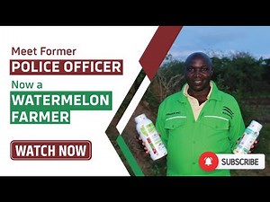 WATERMELON FARMING IN KENYA - From Kshs. 50,000 Capital to Kshs. 300,000 Profit