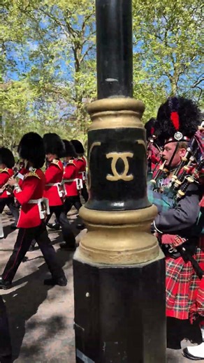 scottish regiment piper (20261904) #goviral