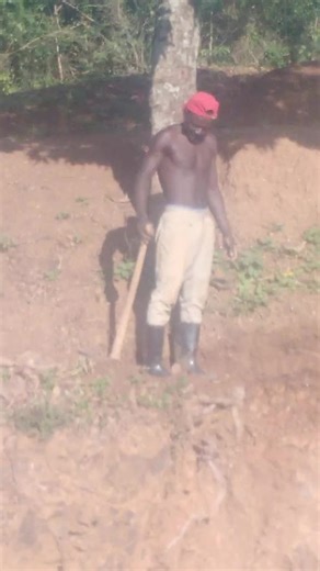 Willy pozze on TikTok