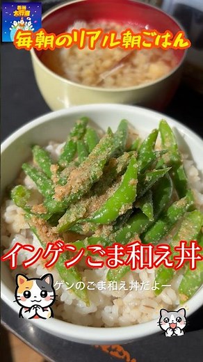 「インゲンのごま和え丼」 インゲン #簡単レシピ #まいにちごはん #料理 #cooking #朝丼 #自炊 #レシピ #レシピ動画 #おうちごはん #朝ごはん #麦ご飯 #料理動画 #節約料理