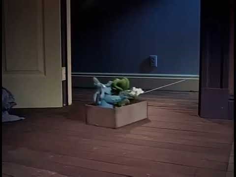 Mr Bumpy and squishy Run Mr Bumpy Run