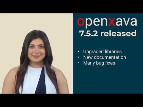 OpenXava 7.5.2 released: Automatic frontend for Java