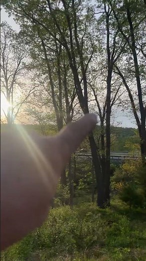 Sundogs: A Rare Phenomenon Explained #welder #welding #fok