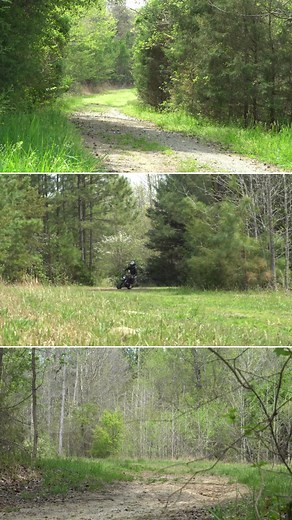 Carsandcameras on Reels