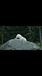 3.9M views · 66K reactions | Yeti learns a new skill #funny #ai #yeti #ohno | Yeti Boi Vlogs | Facebook