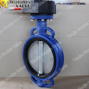 [Hot Item] Wafer Lugged Type Isolation on/off Butterfly Valve ASME B16.10/Mss-Sp-67