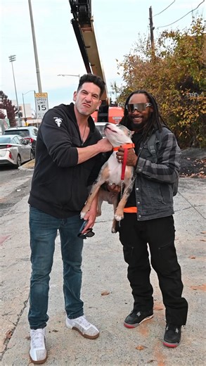 10K views · 117 reactions | PayDay Meets #Jonnybernthal  Lets Say We Are Super Stoked to Expand Our Hybrid Bully Family.. 溺 What Started out as a Photoshoot @lucyluvisuals x @juggdept_ and Next thing you know Jonny walking up to PayDay checking him out and the Rest is History  | Celo Unique Breed | Facebook