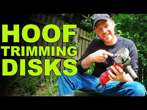 WHAT DISKS DO I USE?? | The Hoof GP