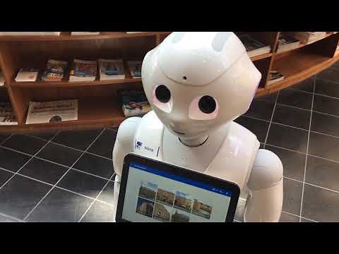 Pepper - The Library Assistant