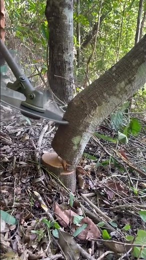 lawnmower brushcutter