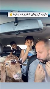 كيفية ترويض الخروف بدقيقه 💔😂 #اكسبلور #كوميديات #ضحك #funny #shortvideo #shorts