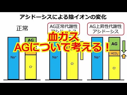 【血ガス】酸塩基平衡を考えるはじめの第一歩 第３話 AG：アニオンギャップを考える！