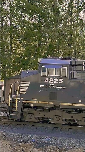 4225 and 8074 NS Locomotives