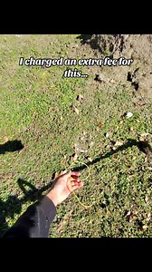 Different color weed eater string will not be tolerated 😂 #lawn #lawncare #lawntok #lawnmaintenance #everyonehighlights | James Beaudoin
