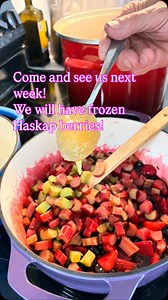 Haskap Season Is Here (Almost)! Frozen Berries Available Next Week Haskap berries are one of nature’s most powerful superfruits. These deep blue gems are bursting with health benefits: • Rich in antioxidants, especially anthocyanins and polyphenols, making them powerful inflammation-fighters and age-defying allies. • Support cardiovascular health, by improving blood vessel elasticity and circulation. • Boost immunity, thanks to high vitamin C content and their ability to reduce oxidative stress.