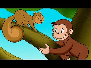 ジョージの木の上のお家！ 🐵 おさるのジョージ