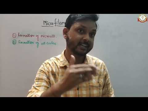 Cytoskeleton: Microfilaments | Actin Filaments | Actin Cytoskeleton by Dr. Aditya Sharma CSIR-JRF