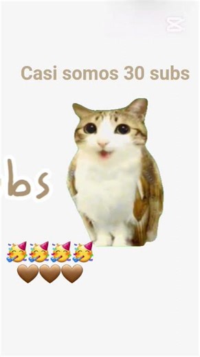 casi 30 subscriptores 🥳🥳🥳🤎🤎🤎