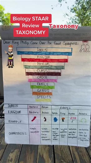 Understanding Taxonomy in Biology: A Comprehensive Review