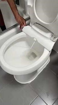 How to Install a Bidet Toilet Seat | Easiest Bidet Install #highlyhandy #diy