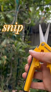 Snip, snip, hooray!  Make pruning a breeze with our super sharp garden snips! ✂️ Effortless trimming for a gorgeous garden. ✨ Shop now and watch your plants thrive! ➡️ #GardenSnips #Gardening #PlantLove #GardenLife #EasyGardening #GreenThumb #HappyPlants | Centurion Brands | Facebook