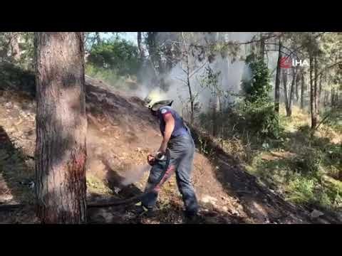 Ağaçlık alanda çıkan yangın paniğe neden oldu